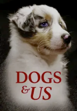 Hund und Mensch: Das Geheimnis einer Freundschaft
