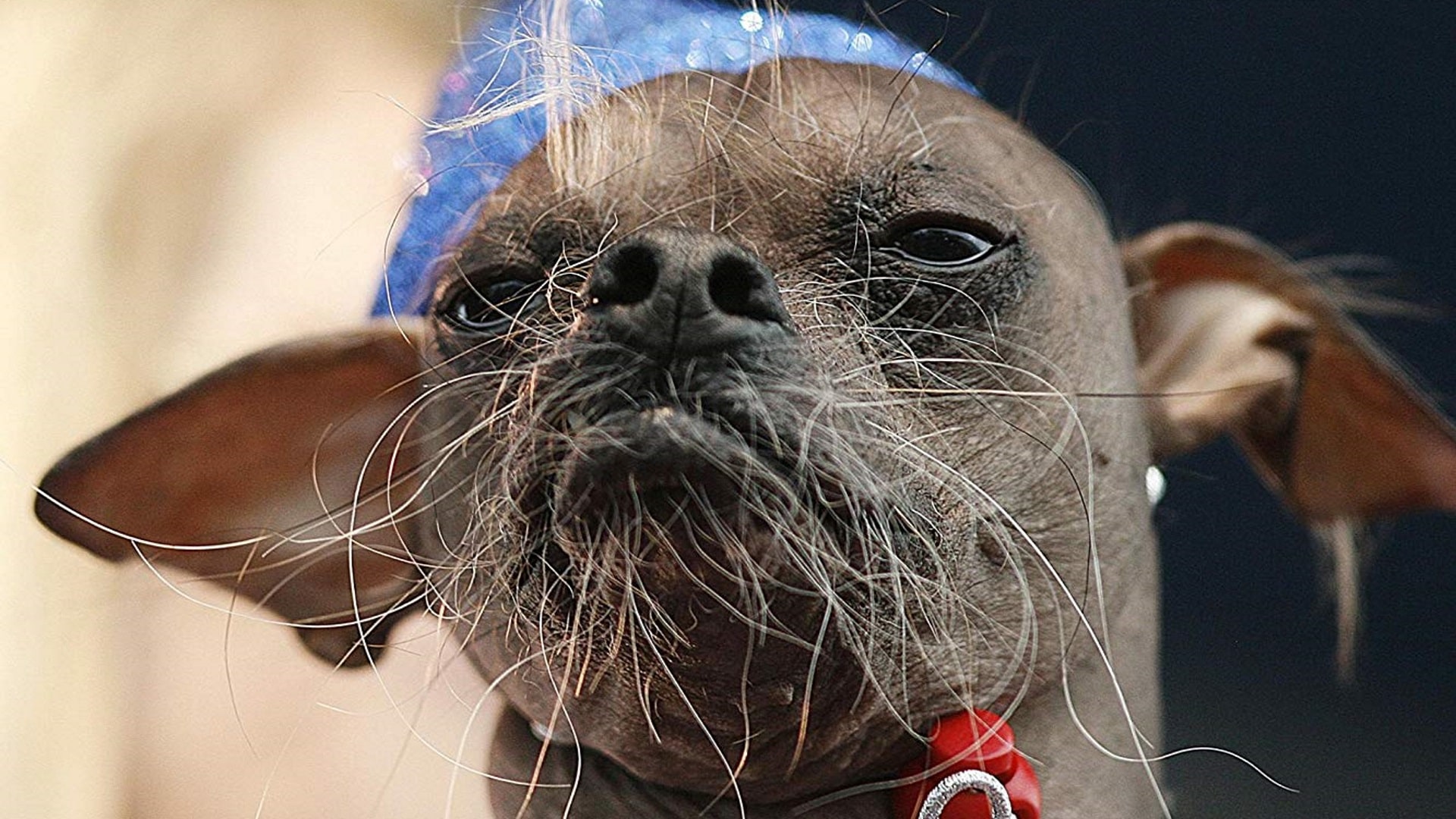 Season 9