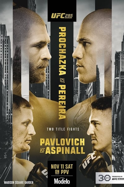 UFC 295: Prochazka vs Pereira