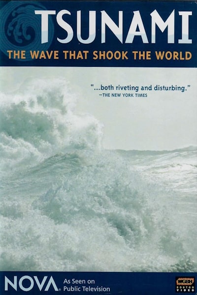 Tsunami The Wave That Shook the World
