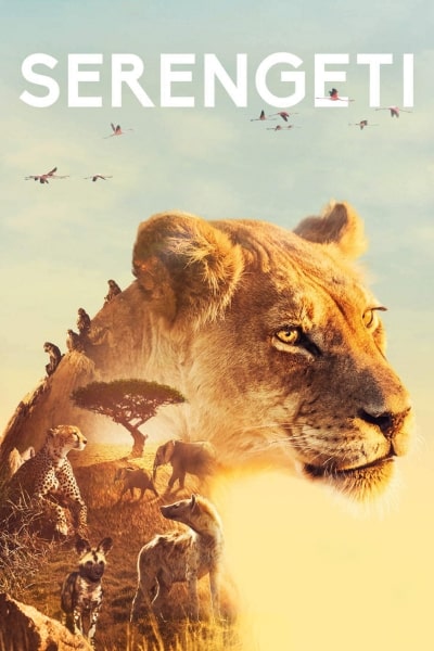 Serengeti - Season 1