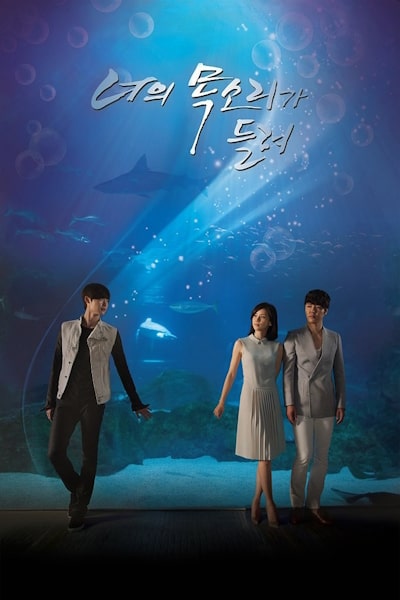 I Hear Your Voice (Neoui Moksoriga Deulryeo) - Season 1