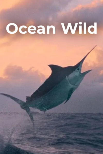 Ocean Wild - Season 1